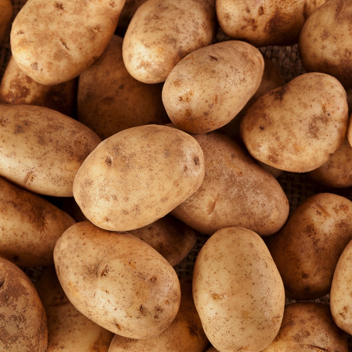 Russet Potatoes • Hopper's Family Market